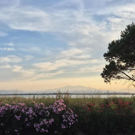 Campsite Sunset Canigou - Mobil 3 4 Etoiles ! Canet-en-Roussillon